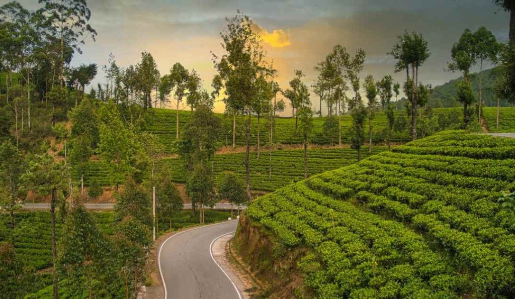 Nuwara Eliya